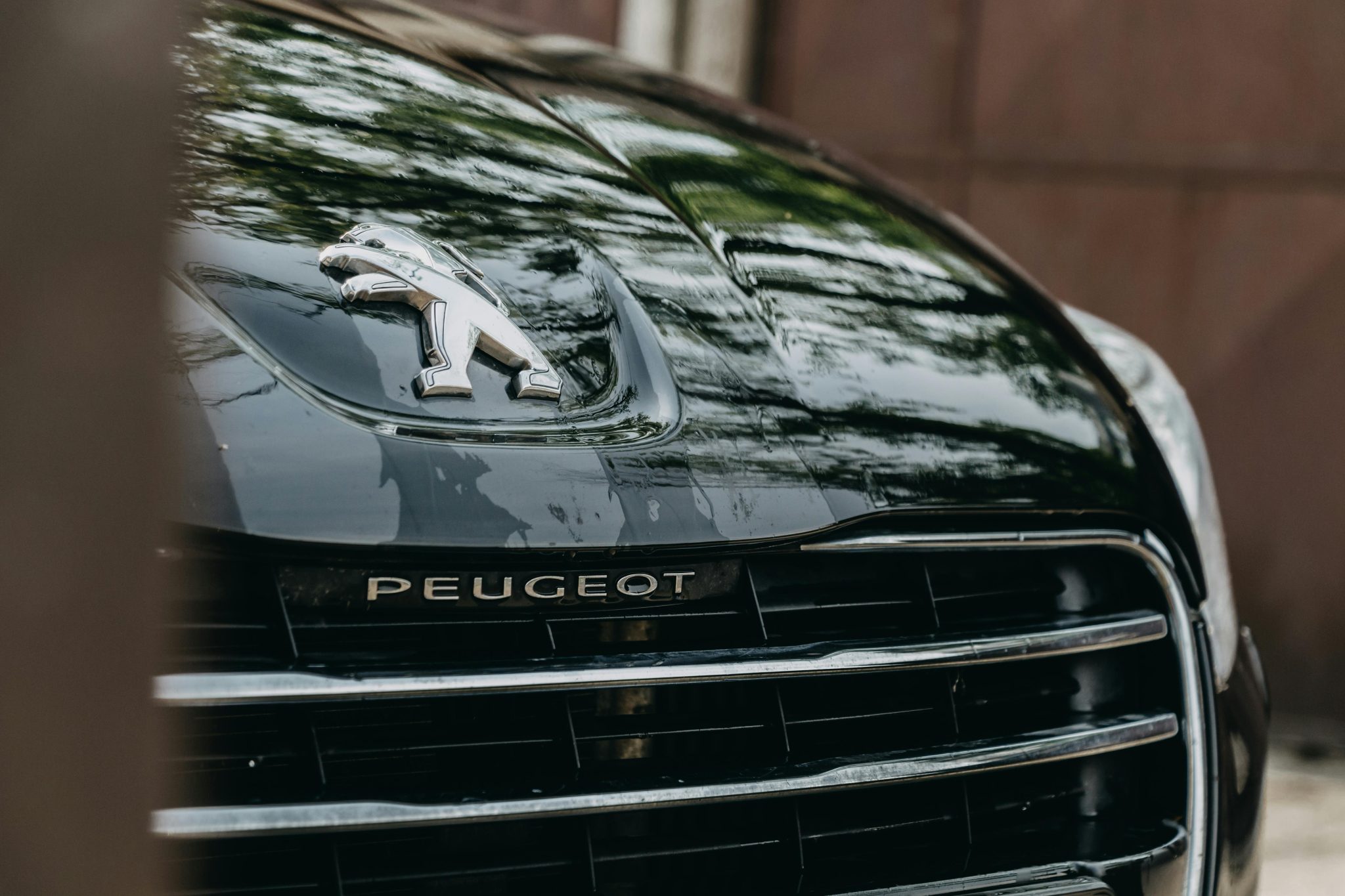 car rental